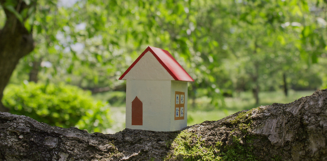 メールでのお問い合わせここをクリック